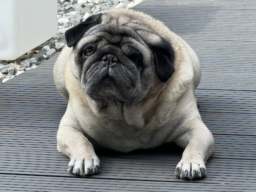 Photo of Wok China Chinese takeaway - 217A Aylsham Rd, Norwich NR3 2RE